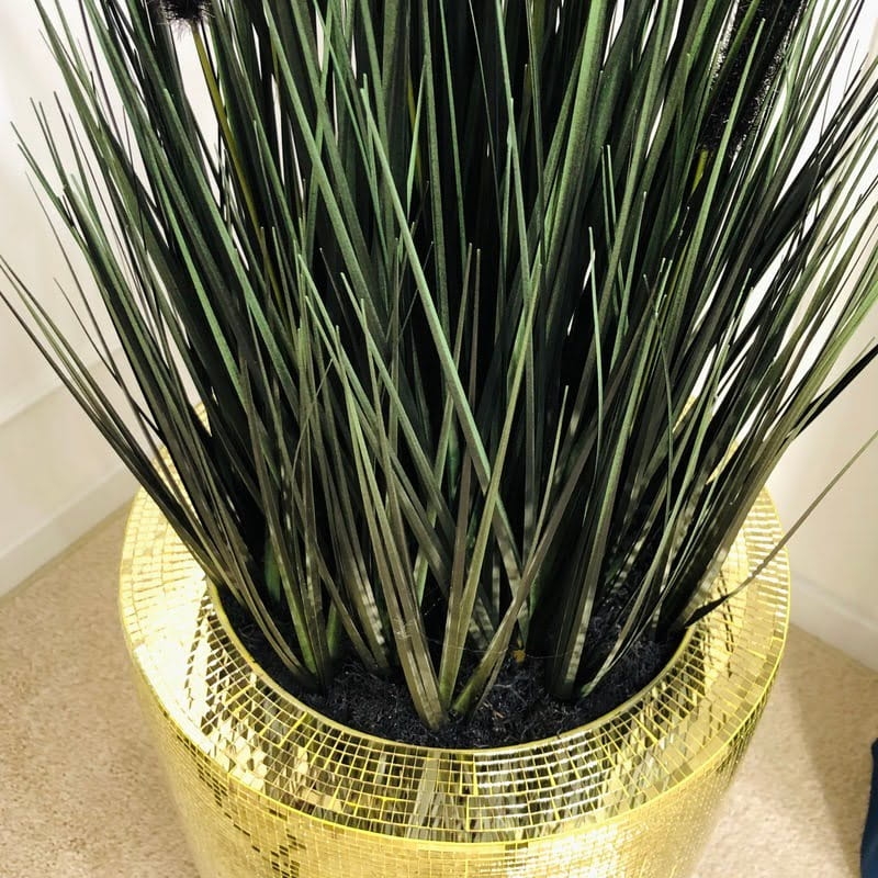 IMG-3004 (1) (1).jpg