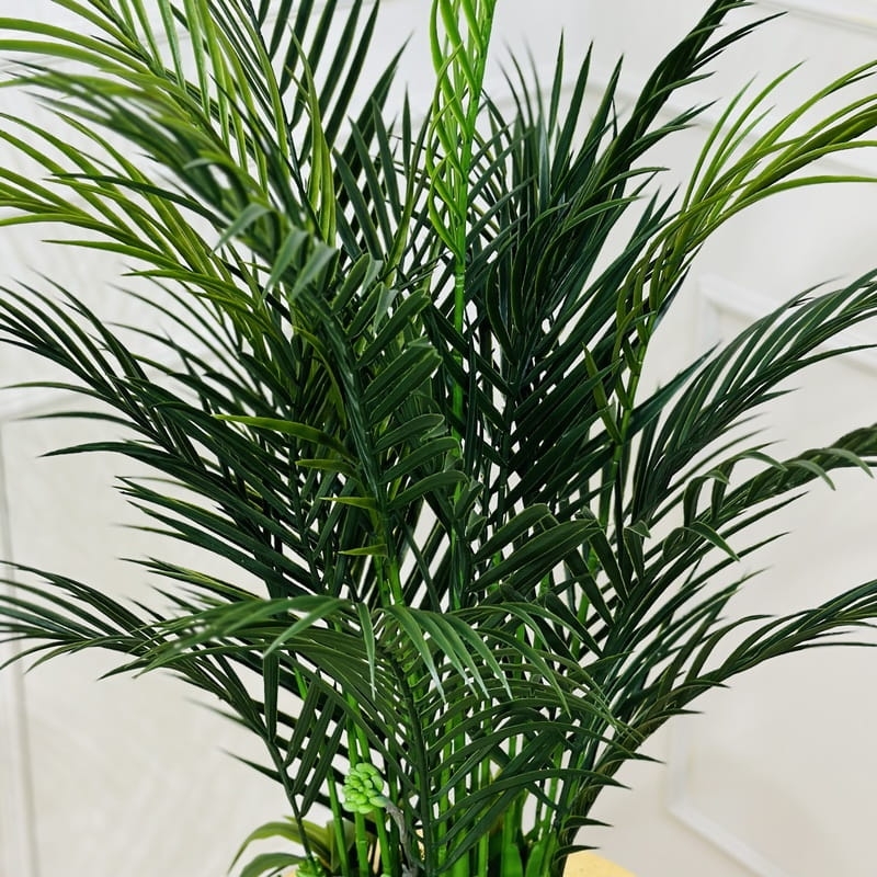 IMG-0504 (1) (1).jpg