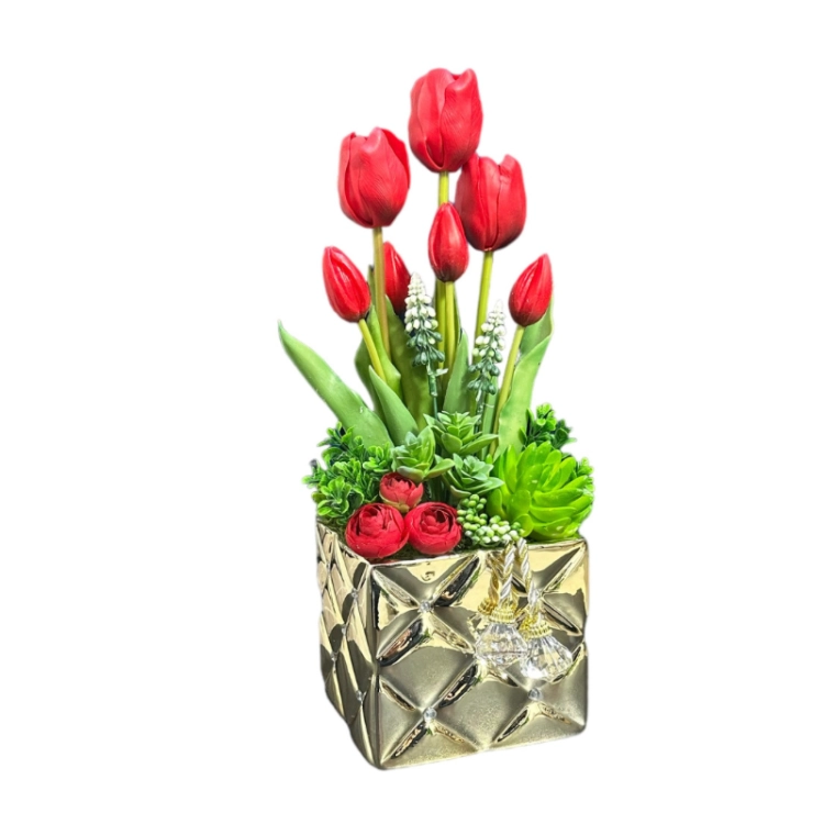 809D3EF2-1301-4F3F-A6DB-558AEB47B604.PNG