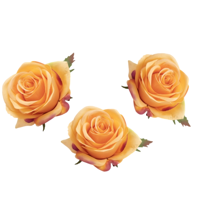 55AC97E1-96E8-43C5-B5C6-70D854433239.PNG