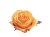 IMG_4527 (1)-Photoroom.png
