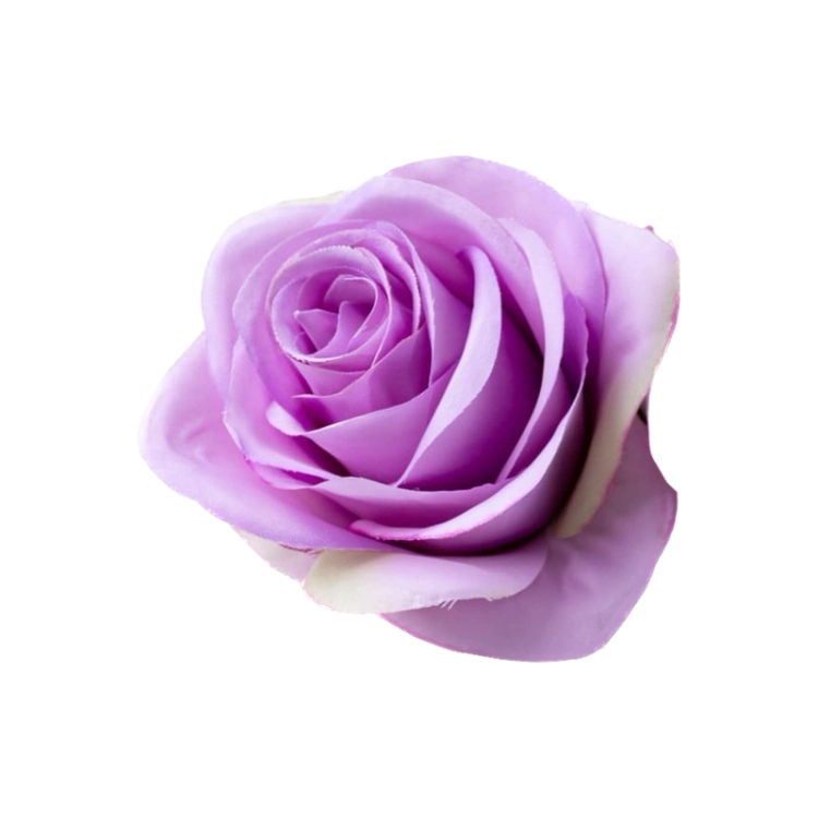 13DD14AE-2139-42DE-BD56-EA2072FAE7B0.PNG