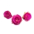 PhotoRoom-20240202-180953.JPG