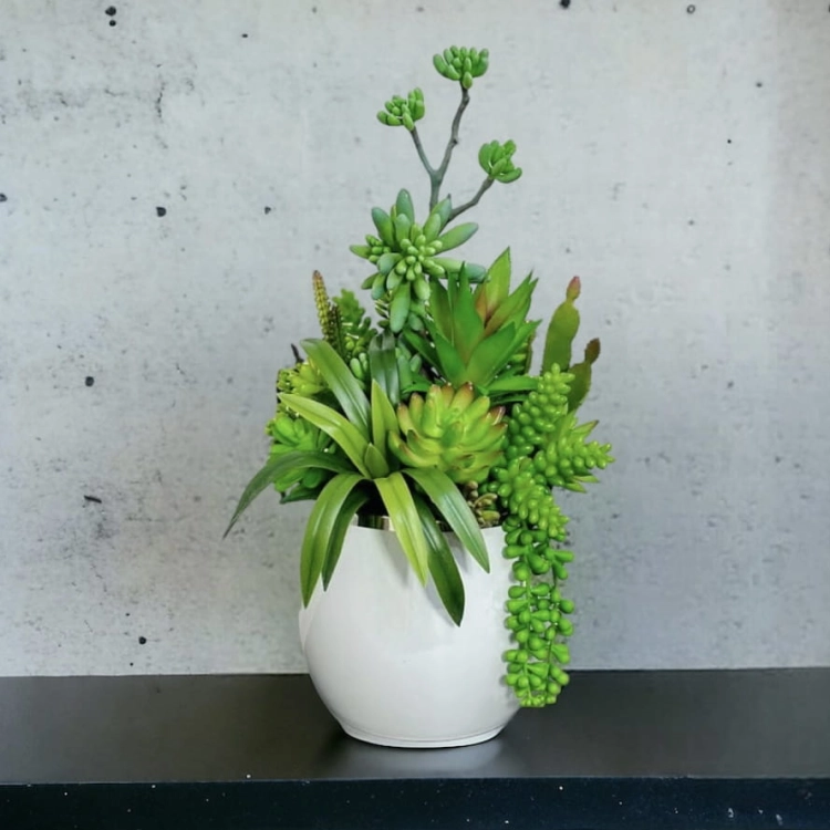 PhotoRoom_20240203_001116.jpeg