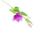 PhotoRoom-20240207-230744.JPG