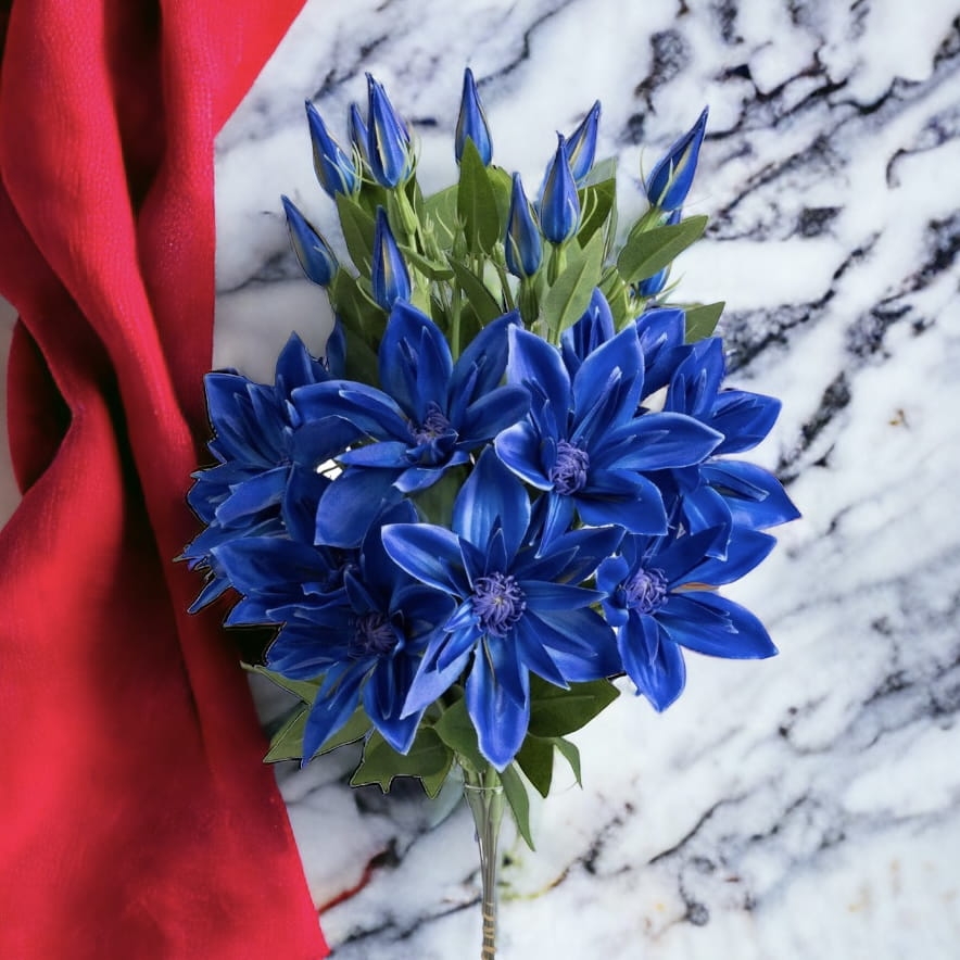 klematis gałązka granatowa