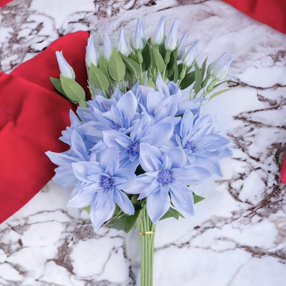 klematis gałązka niebieska