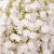 IMG-8834.jpg