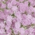 IMG-8839.jpg