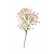 08EB8DB8-FB3D-45D1-9918-C065D6115A0A.PNG