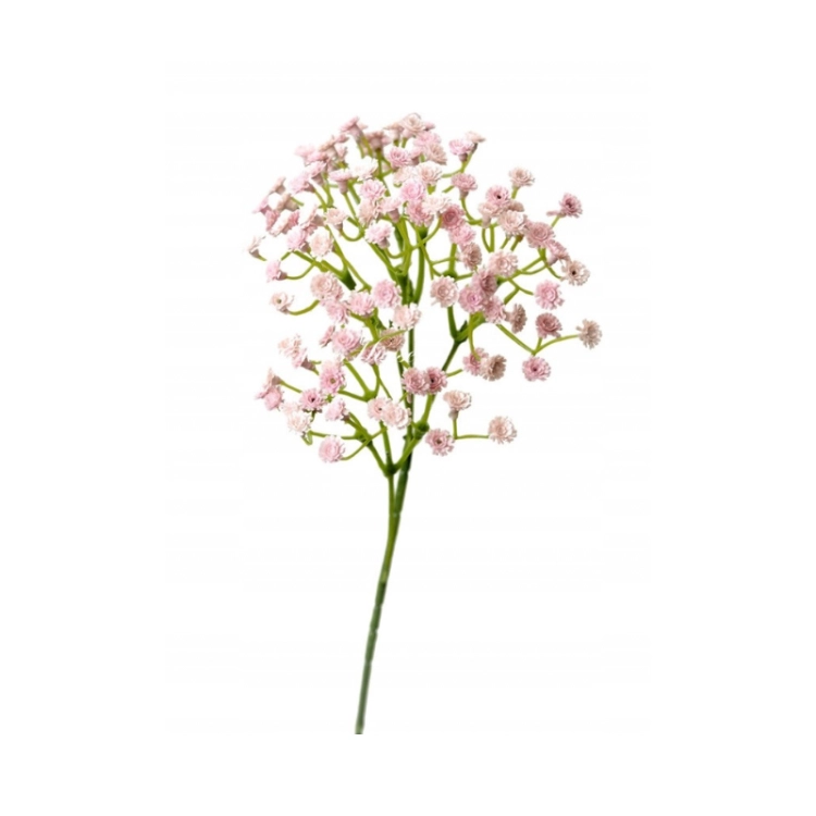 08EB8DB8-FB3D-45D1-9918-C065D6115A0A.PNG