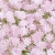 IMG-8837.jpg