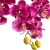 PhotoRoom-20240212-095730.JPG