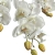 PhotoRoom-20240212-102400.JPG