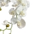 PhotoRoom-20240212-213651.JPG