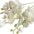 PhotoRoom-20240212-214037.JPG