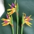 PhotoRoom-20240212-131022.jpg