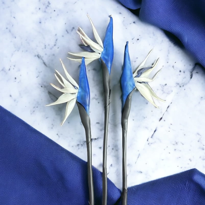 strelicja królewska gałązka