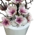 PhotoRoom-20240217-185734.JPG