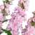 PhotoRoom-20240215-172448.JPG