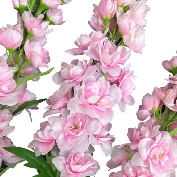 PhotoRoom-20240215-172448.JPG