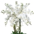 PhotoRoom-20240326-092631.JPG