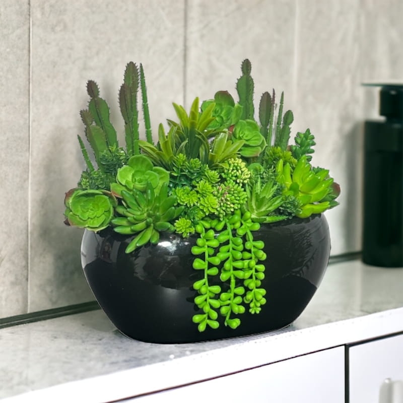 Kompozycja z sukulentów w doniczce