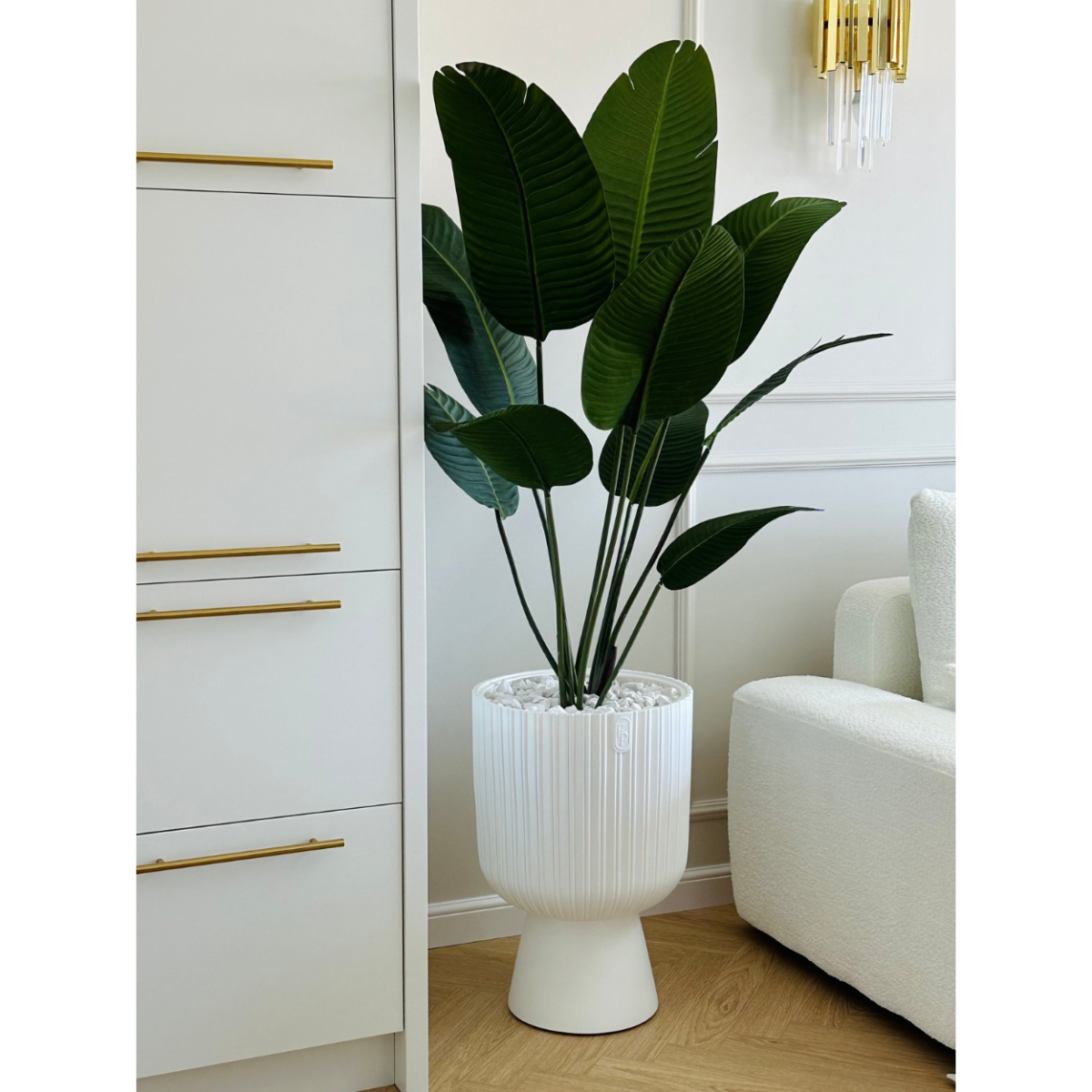 bananowiec w doniczce