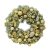 Photoroom_20241010_192129.jpg