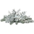 Photoroom_20241123_115557.JPG