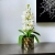 Photoroom_20250227_161127.JPG