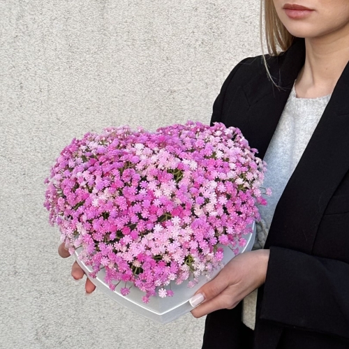 flower box serce