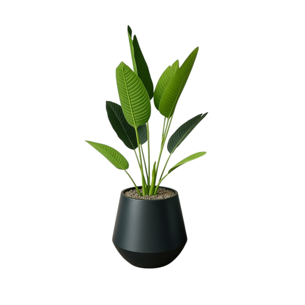 143D2FA5-3534-4854-95EF-D9D30DEC1A0B (1).JPEG