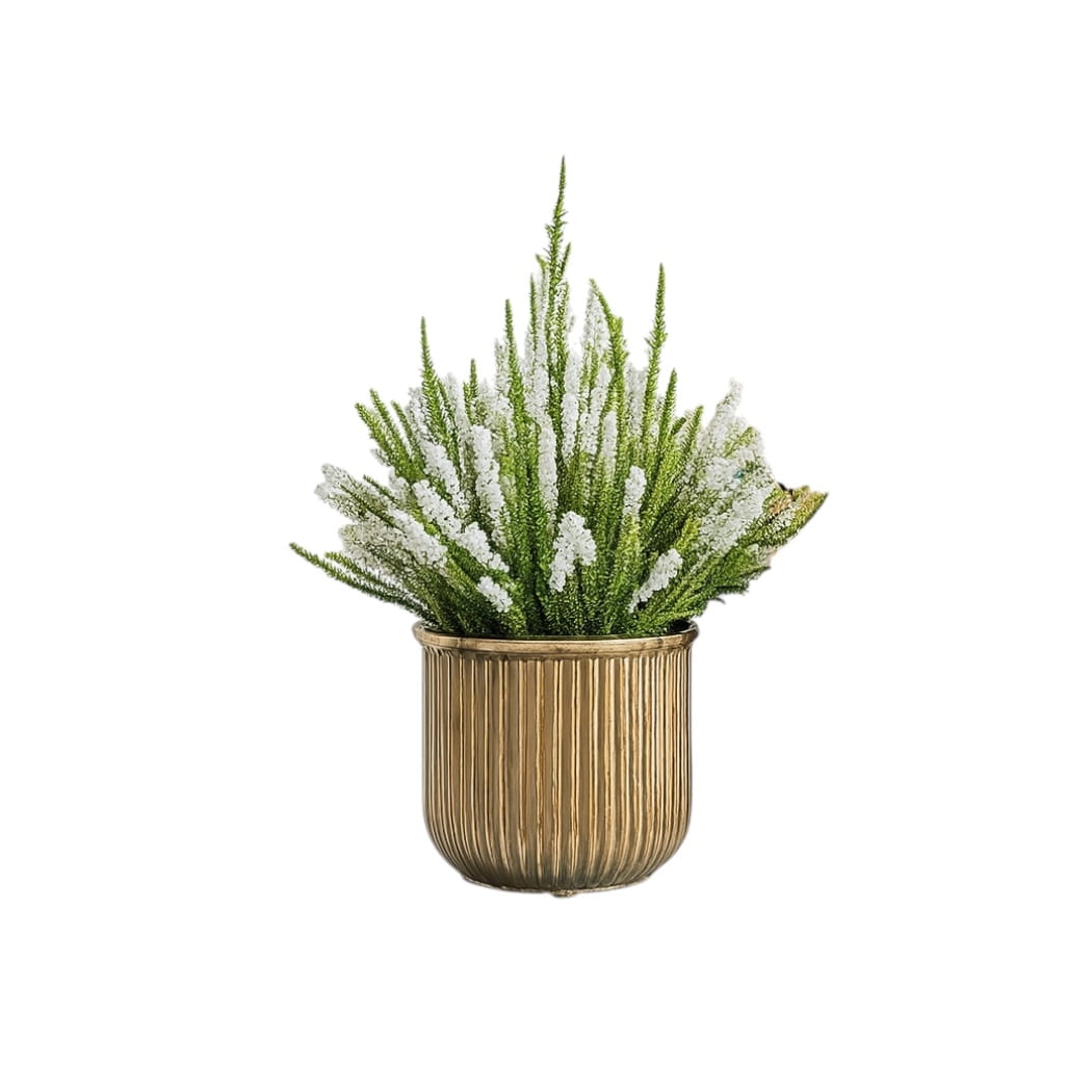 FE95C89D-7B4E-4A23-99CD-AEBC172486DF (1).JPEG