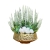 IMG_9956.JPEG