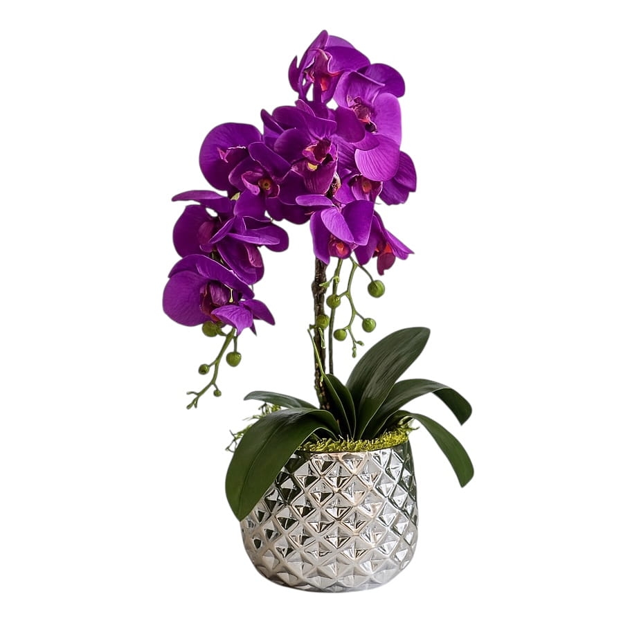 F42F5E87-68FA-4EC3-BDE7-7CACB8941644 (1).JPG