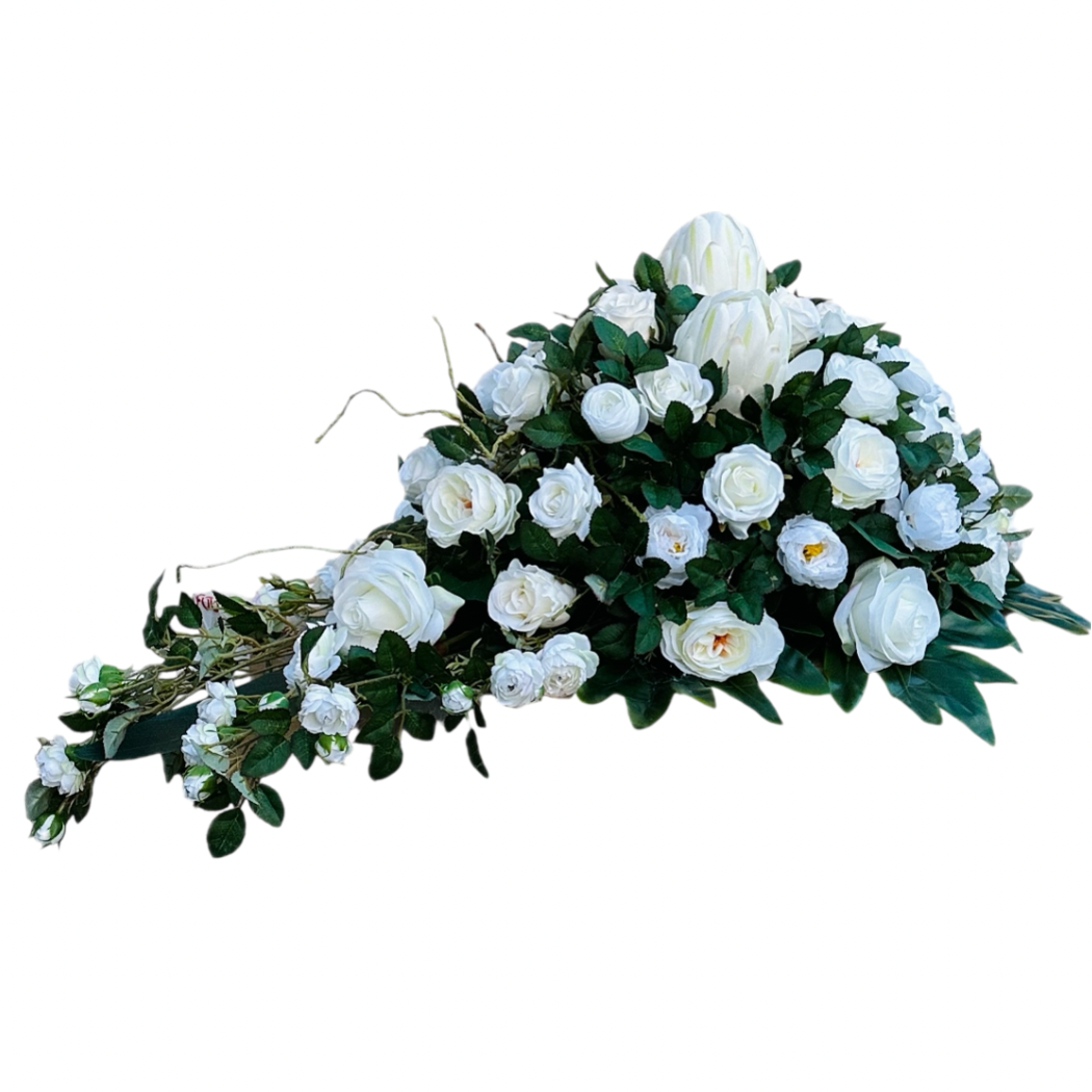 Untitled design - 2025-08-24T144036.128.PNG