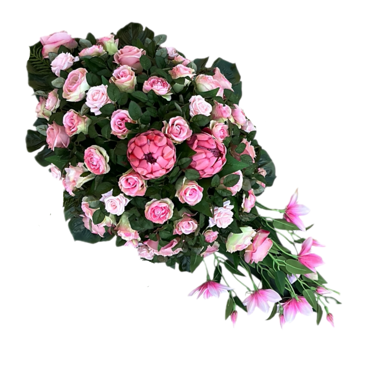 Projekt bez nazwy.png