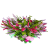 IMG_4764.PNG