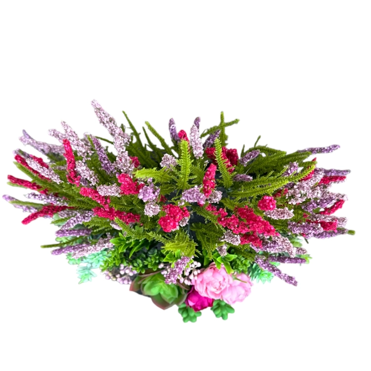 IMG_4764.PNG