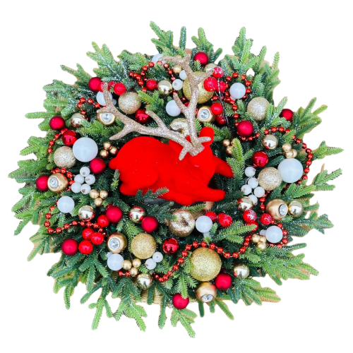 IMG_6503 (1).PNG