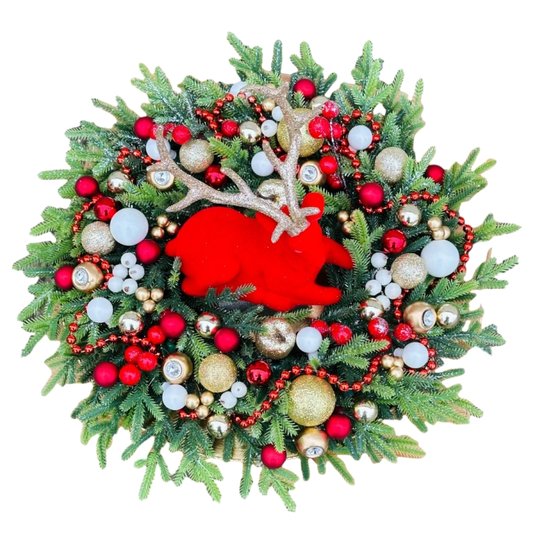 IMG_6503 (1).PNG