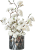 IMG_7830.png