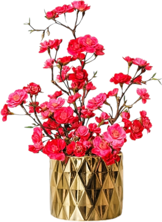 IMG_7828.png