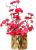 IMG_7828.png