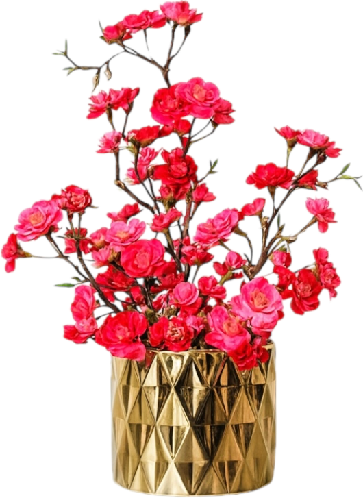IMG_7828.png