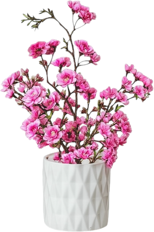 IMG_7829.png