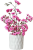 IMG_7829.png