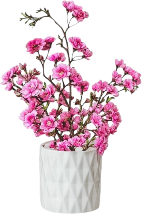 IMG_7829.png