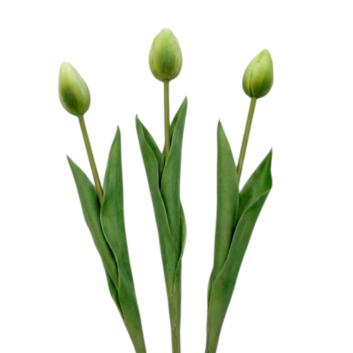 IMG_9328.png